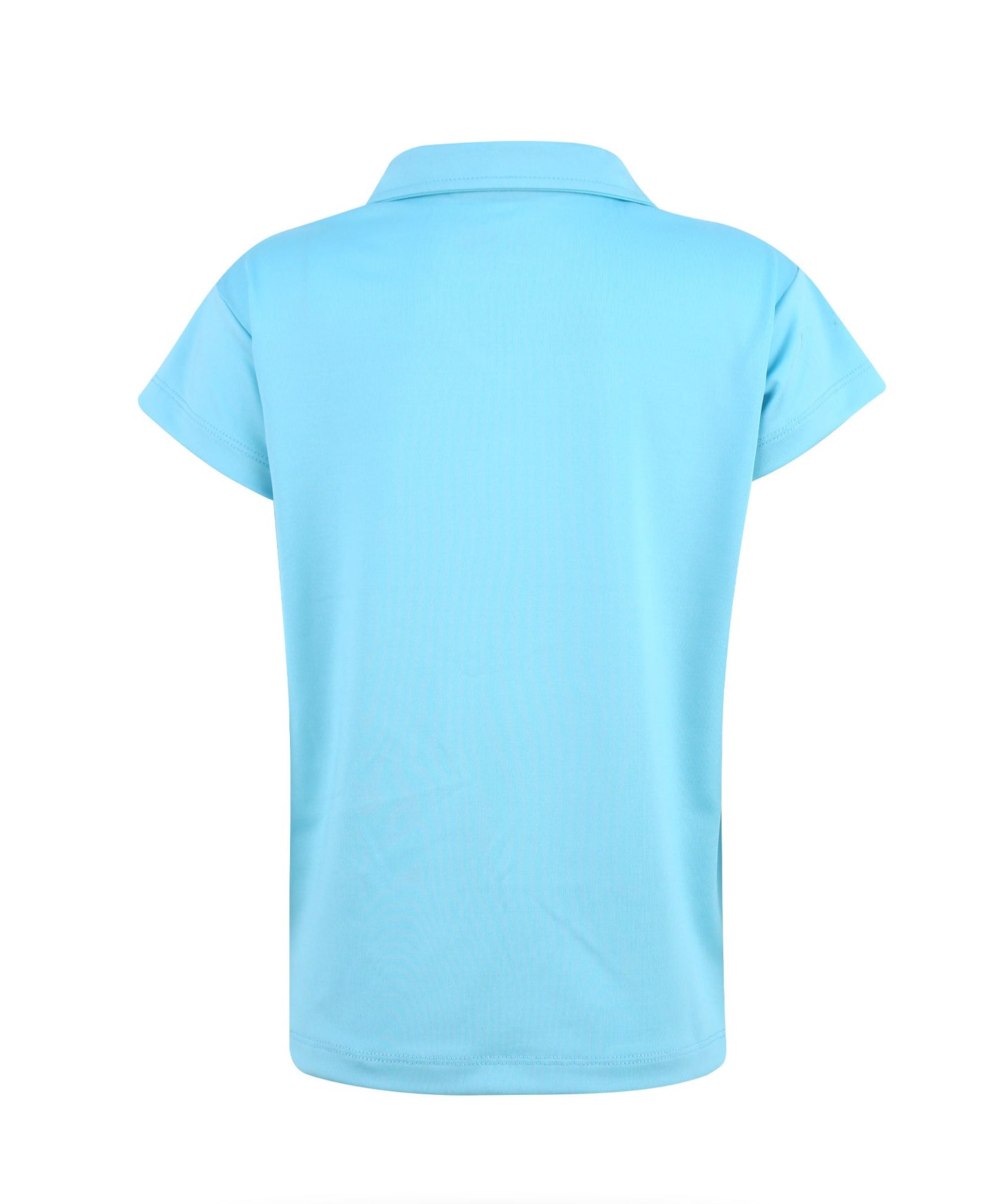 Paisley Sky Collar Top