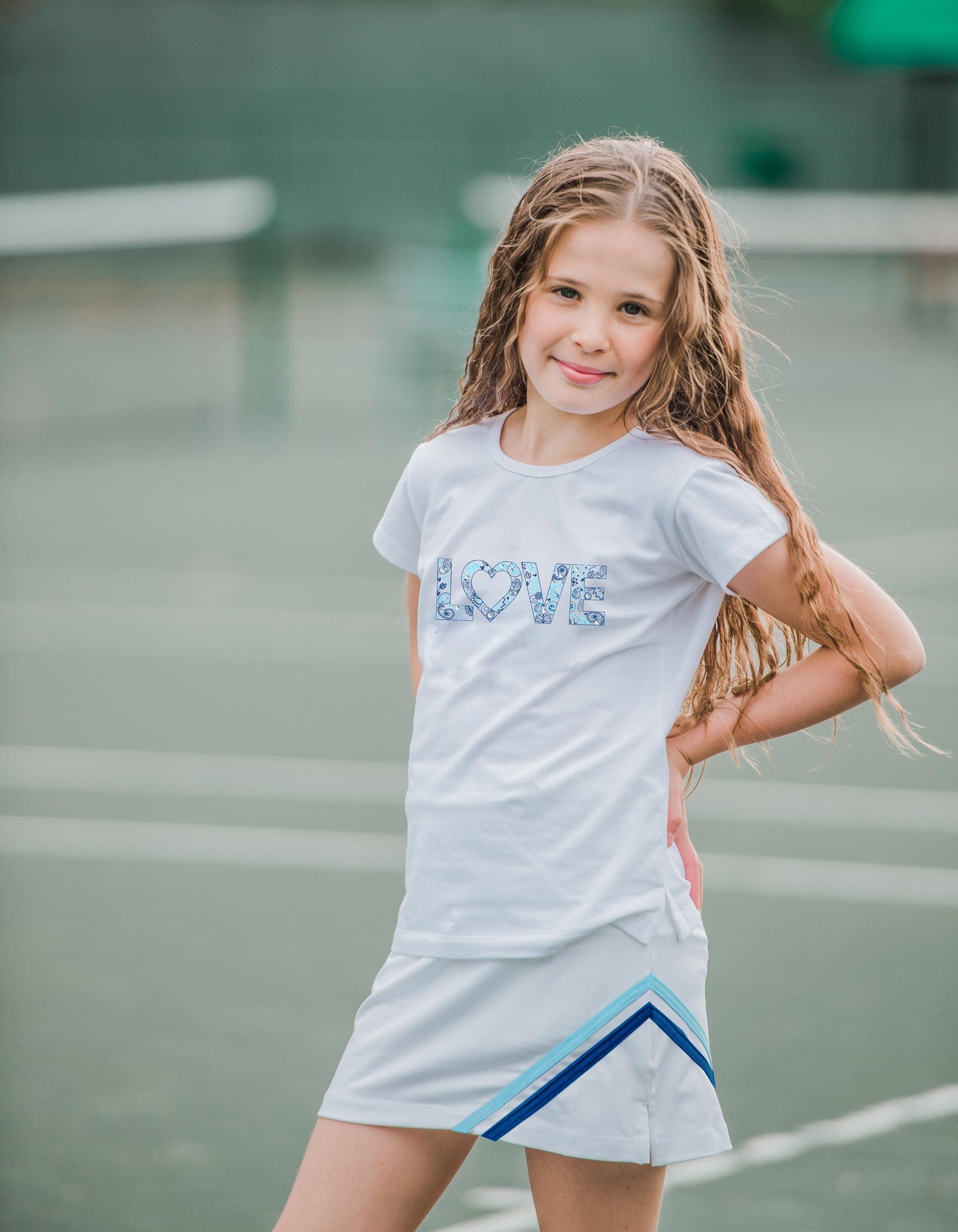 Paisley Sky Chevron Skirt