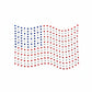 #Stars Forever White Flag Tee - New!